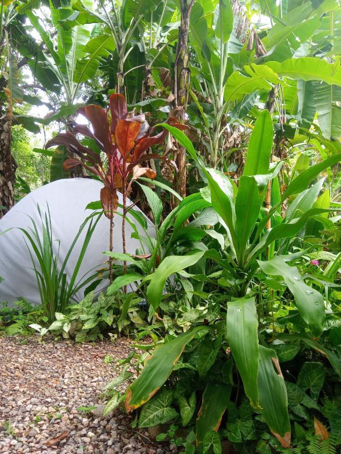 Camping Trópico de Capricórnio - Ilhabela Exterior foto